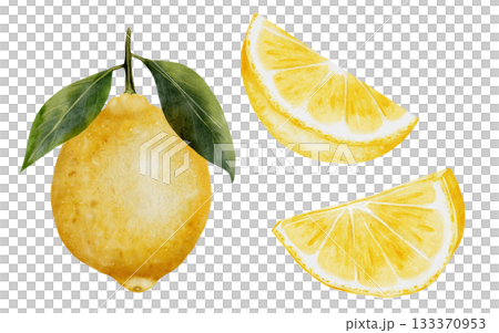 Lemon watercolor set. Hand drawn tropical sour fruit. Clip art of juicy yellow lime. Citrus on isolated white background. Ideal for logo and packaging of natural cosmetics, household chemicals and 133370953