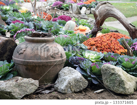 Rustic Clay Pot and Flowers in Cluj-Napoca Botanical Garden 133371605