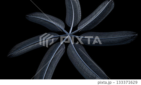 Abstract Metallic feathers. Computer generated 3d render Abstract Metallic feathers. Computer generated 3d render 133371629