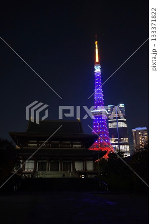 藍色にライトアップされた東京タワーと増上寺　11月港区2147藍色・東京タワーと増上寺 133371822