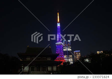 藍色にライトアップされた東京タワーと増上寺　11月港区2149藍色・東京タワーと増上寺 133371824