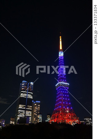 藍色の東京タワーと夜の街並み　11月港区2159藍色・東京タワー・プリンス芝公園 133371834