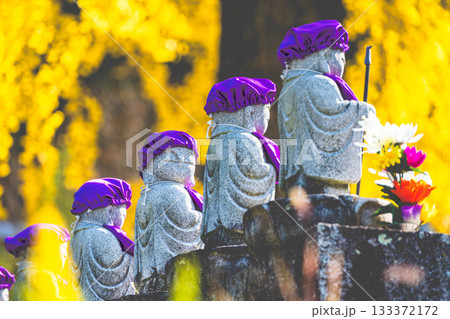 長福寺の並んだお地蔵様と大銀杏 133372172