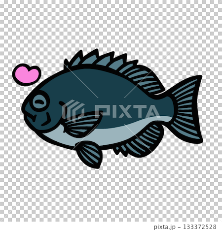 かわいい喜ぶグレのイラスト かわいい喜ぶグレのイラスト 133372528