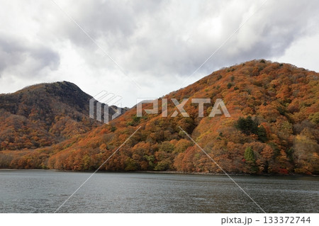 遊覧船から望む秋の紅葉の中禅寺湖 ( 栃木県 日光市 ) 遊覧船から望む秋の紅葉の中禅寺湖 ( 栃木県 日光市 ) 133372744