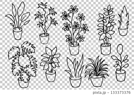 手描き観葉植物の線画イラストセット|シンプルな鉢植え・ボタニカル素材 手描き観葉植物の線画イラストセット|シンプルな鉢植え・ボタニカル素材 133373376