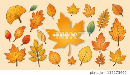 A set of autumn leaves isolated on a beige background. Hello autumn. A set of autumn leaves isolated on a beige background. Hello autumn. 133373462