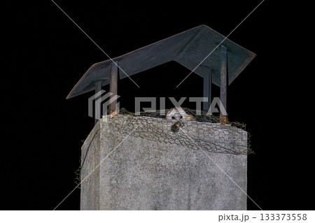 Nighttime Owl Perched on Concrete Chimney Top Nighttime Owl Perched on Concrete Chimney Top 133373558