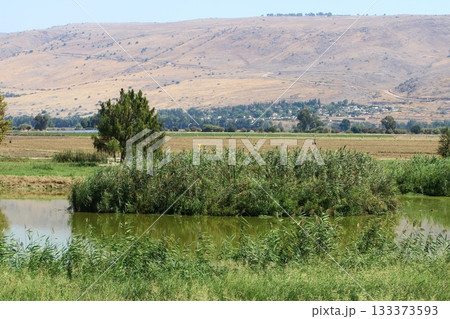 Landscape in the mountains of Israel. 133373593