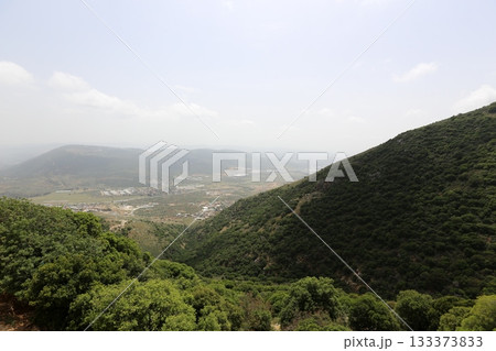 Landscape in the mountains of Israel. 133373833