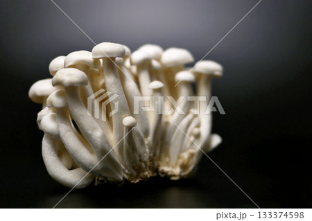 White Shimeji Mushrooms on Black Background White Shimeji Mushrooms on Black Background 133374598