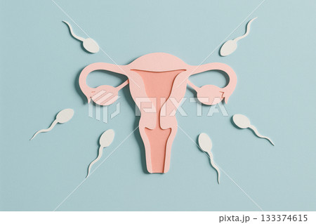 Female reproductive system anatomy with stylized sperm approaching uterus and fallopian tubes on blue background, fertility concept, AI Generative 133374615