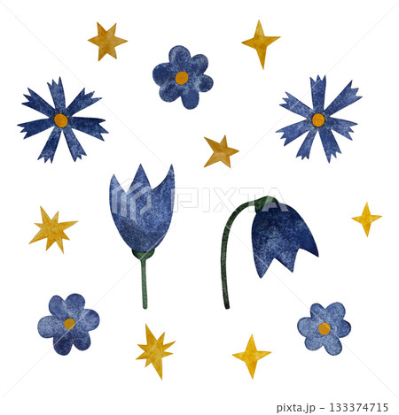 Watercolor blue wildflowers and stars. Blue wildflowers and yellow stars set isolated on white. 133374715
