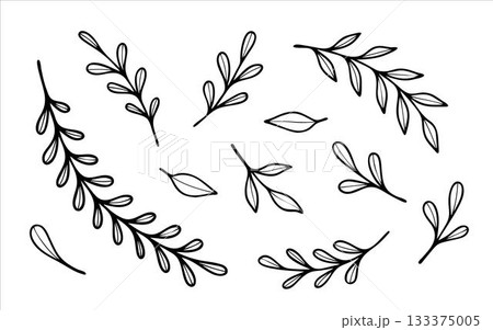 Non-AI Vector plant branches. Collection of plant branches with leaves isolated on white background. 133375005