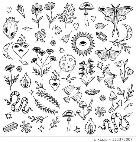 Non-AI Vector magic forest set. Collection of illustrations on a mystical woodland theme isolated on white. Non-AI Vector magic forest set. Collection of illustrations on a mystical woodland theme isolated on white. 133375007