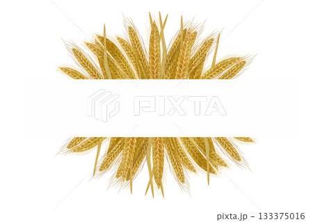 Watercolor wheat frame. Horizontal frame with golden wheat stalks on white background. Watercolor wheat frame. Horizontal frame with golden wheat stalks on white background. 133375016