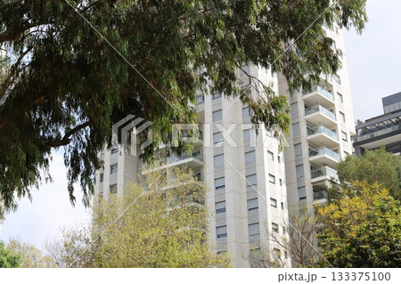 Houses in Tel Aviv against a backdrop of tall trees 133375100