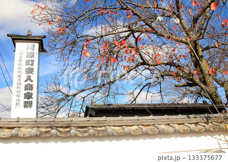 丹波篠山河原町妻入商家群 133375677