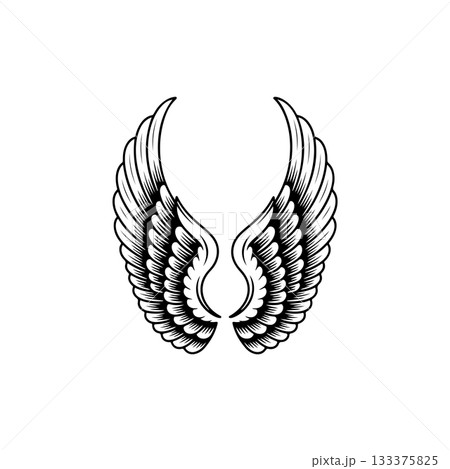 Vintage wings isolated on white background. Design elements for logo, label, emblem, sign, brand mark. Vector illustration. 133375825