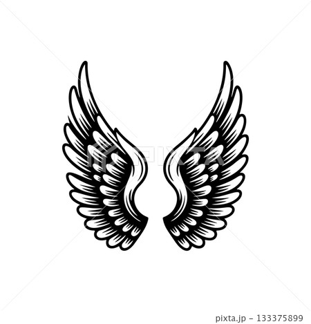 Vintage wings isolated on white background. Design elements for logo, label, emblem, sign, brand mark. Vector illustration. 133375899