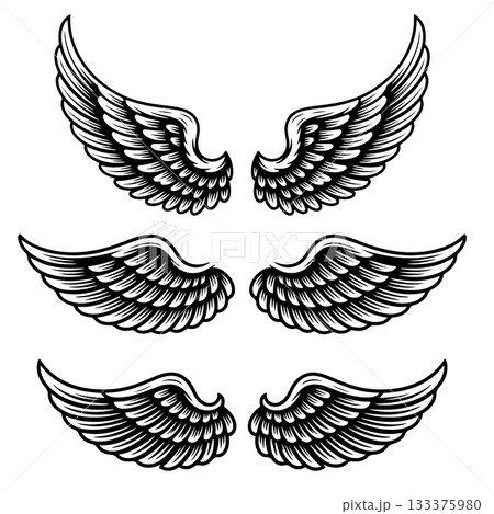 Set of bird wings isolated on white background. Design elements for logo, label, emblem, sign. Vector illustration 133375980