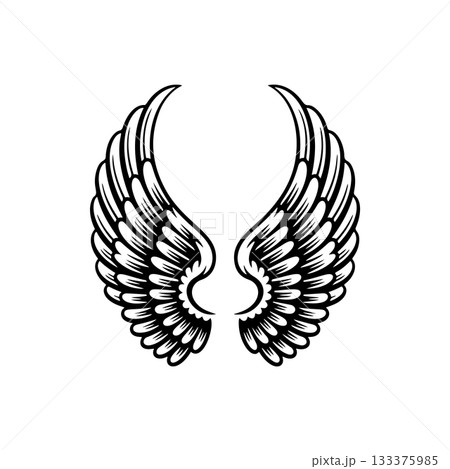 Vintage wings isolated on white background. Design elements for logo, label, emblem, sign, brand mark. Vector illustration. 133375985