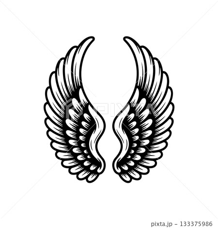 Vintage wings isolated on white background. Design elements for logo, label, emblem, sign, brand mark. Vector illustration. 133375986