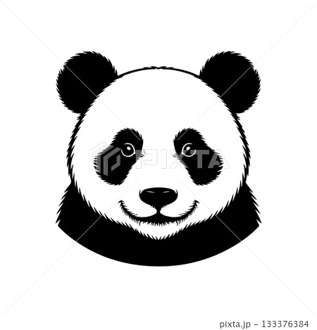 Print 133376384