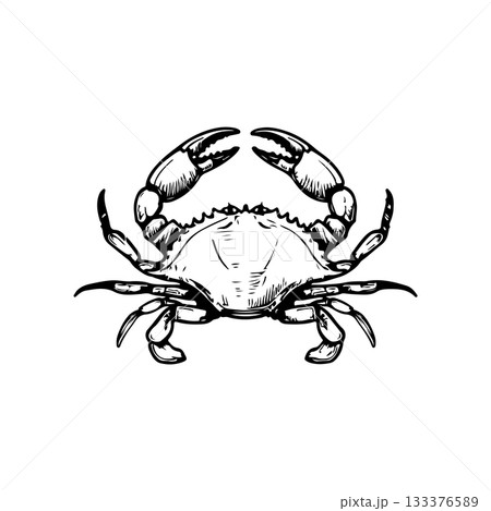 Crab icon isolated on white background. Design elements for logo, label, emblem, sign. Vector illustration 133376589