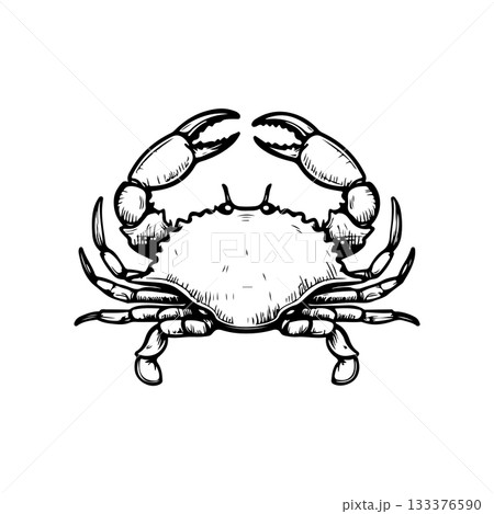 Crab icon isolated on white background. Design elements for logo, label, emblem, sign. Vector illustration 133376590