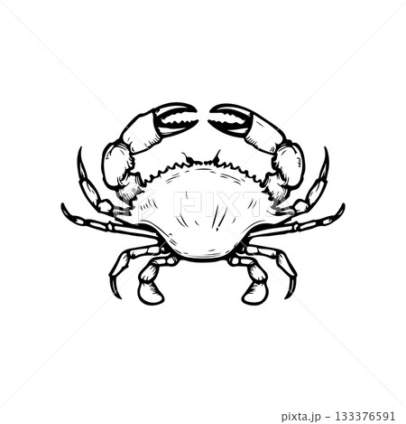 Crab icon isolated on white background. Design elements for logo, label, emblem, sign. Vector illustration Crab icon isolated on white background. Design elements for logo, label, emblem, sign. Vector illustration 133376591