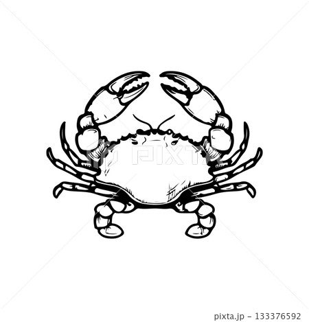 Crab icon isolated on white background. Design elements for logo, label, emblem, sign. Vector illustration 133376592