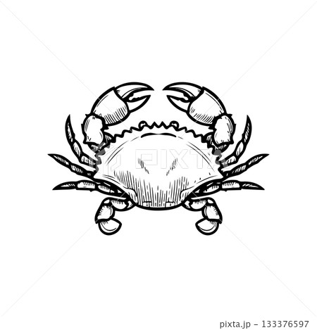 Crab icon isolated on white background. Design elements for logo, label, emblem, sign. Vector illustration 133376597