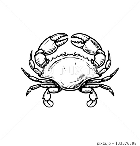 Crab icon isolated on white background. Design elements for logo, label, emblem, sign. Vector illustration 133376598