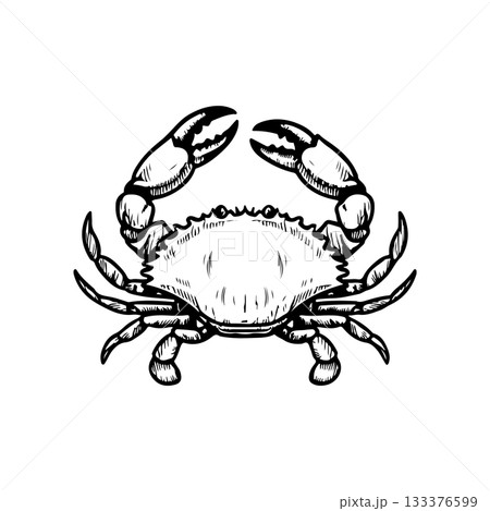 Crab icon isolated on white background. Design elements for logo, label, emblem, sign. Vector illustration 133376599