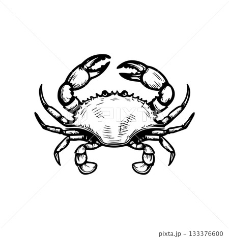 Crab icon isolated on white background. Design elements for logo, label, emblem, sign. Vector illustration Crab icon isolated on white background. Design elements for logo, label, emblem, sign. Vector illustration 133376600