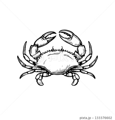 Crab icon isolated on white background. Design elements for logo, label, emblem, sign. Vector illustration 133376602