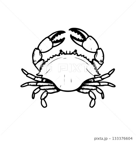 Crab icon isolated on white background. Design elements for logo, label, emblem, sign. Vector illustration Crab icon isolated on white background. Design elements for logo, label, emblem, sign. Vector illustration 133376604