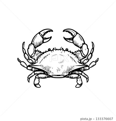 Crab icon isolated on white background. Design elements for logo, label, emblem, sign. Vector illustration 133376607
