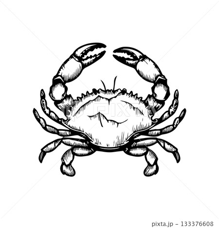 Crab icon isolated on white background. Design elements for logo, label, emblem, sign. Vector illustration 133376608
