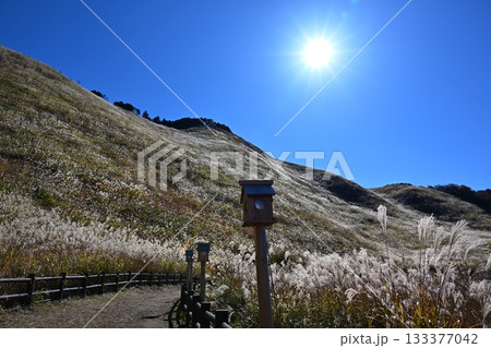 薄が見頃の曽爾高原　奈良 133377042