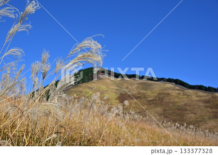 薄が見頃の曽爾高原 奈良 薄が見頃の曽爾高原 奈良 133377328