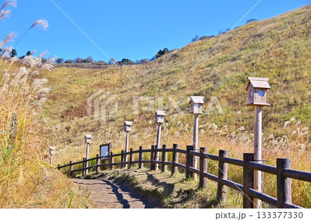 薄が見頃の曽爾高原　奈良 133377330