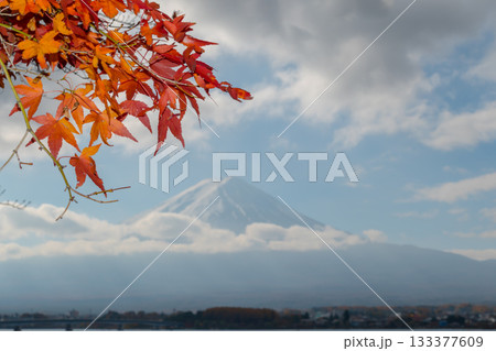 【紅葉と富士山】 【紅葉と富士山】 133377609