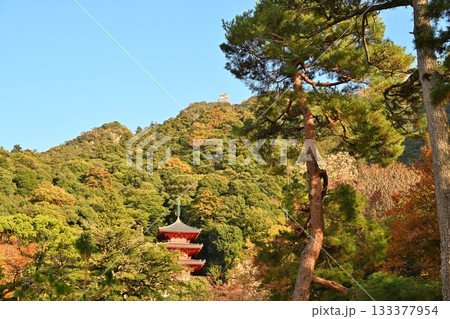 秋の岐阜公園からの岐阜城 133377954