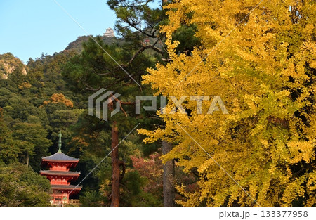 秋の岐阜公園からの岐阜城 133377958