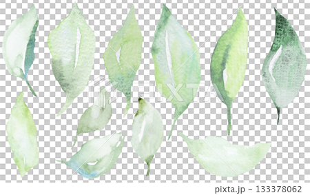 Watercolor light green leaves isolated illustration, pastel wedding stationery element 133378062