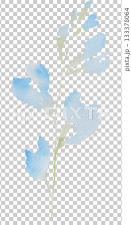 Watercolor light blue wild flower isolated illustration, floral wedding and greeting element 133378064