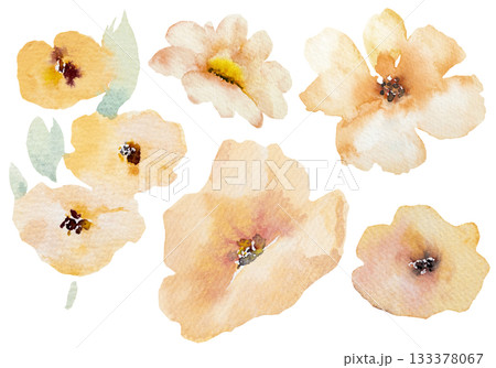 Watercolor pastel yellow wild flowers isolated illustration, floral wedding and greeting element 133378067