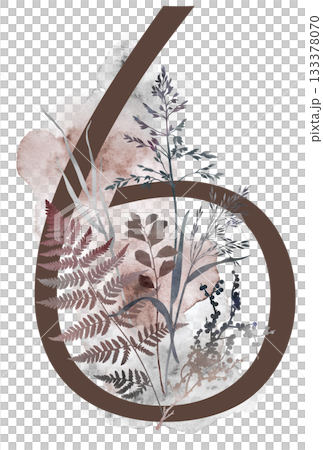 Number 6 with watercolor autumn leaves and grass in borwn tones, winter wedding illustration 133378070
